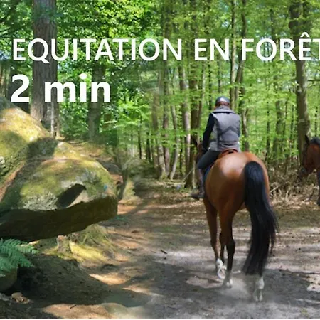 Kabaneo - Et Sauna- Sur Seine - Foret De Fontainebleau Lodge Samois-sur-Seine