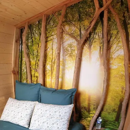 Kabaneo - Et Sauna- Sur Seine - Foret De Fontainebleau * Samois-sur-Seine